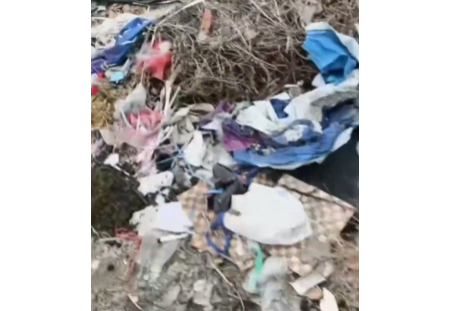 亭湖区新洋街道垃圾反复堆、涉农资金反复埋单，谁在纵容偷倒？不管不问