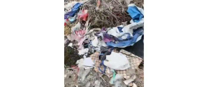 亭湖区新洋街道垃圾反复堆、涉农资金反复埋单，谁在纵容偷倒？不管不问