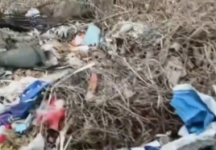 亭湖区新洋街道垃圾反复堆、涉农资金反复埋单，谁在纵容偷倒？不管不问