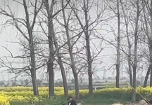 盐城盐都河道白天公然电鱼 ，渔政监管缺位法律成空文？